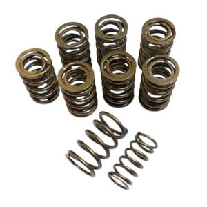 VALVE SPRING KIT